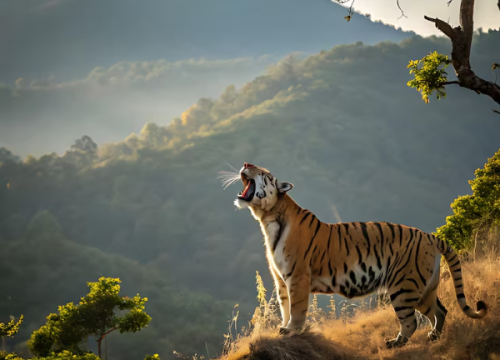Nainital & Jim Corbett Escape