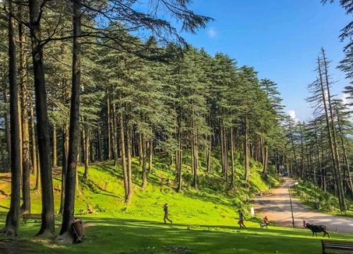 Divine Vaishno Devi & Patnitop Tour Package (JK 01)