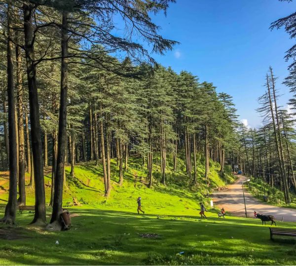 Divine Vaishno Devi & Patnitop Tour Package (JK 01)