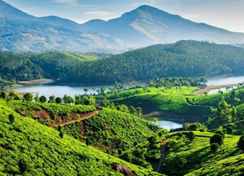 Kerala Backwaters & Hill Station Tour Package (KL 02)
