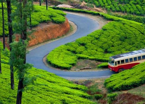 Mesmerizing Munnar Tour Package (KL 04)