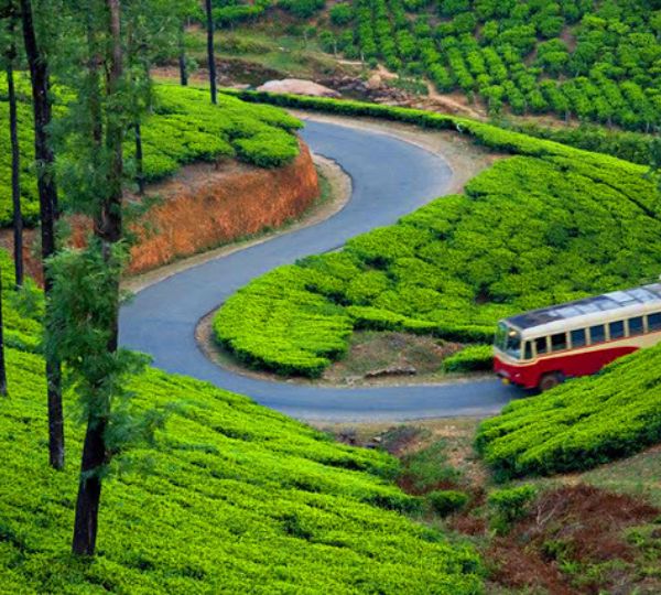Mesmerizing Munnar Tour Package (KL 04)
